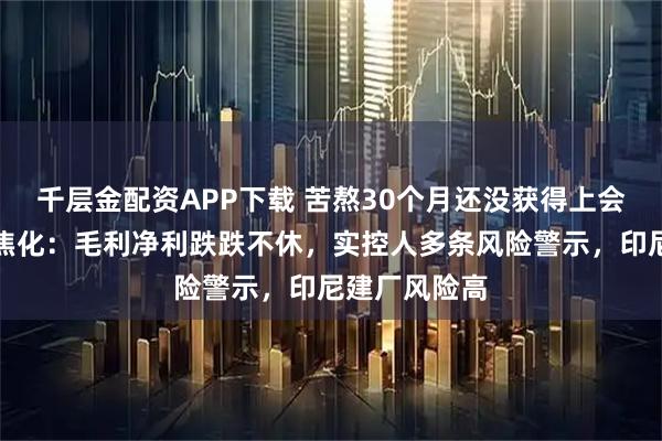 千层金配资APP下载 苦熬30个月还没获得上会机会的阳光焦化:毛利净利跌跌不休,实控人多条风险警示,印尼建厂风险高