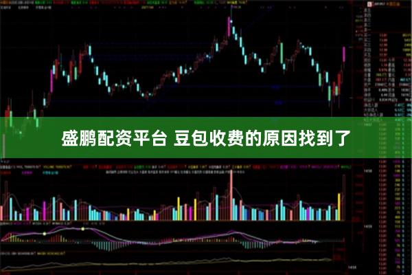 盛鹏配资平台 豆包收费的原因找到了