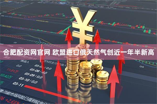 合肥配资网官网 欧盟进口俄天然气创近一年半新高